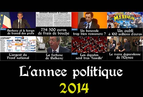 L'année politique 2014