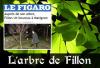 L'arbre de Fillon