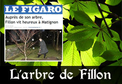 L'arbre de Fillon