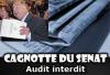 Audit du S&eacute;nat