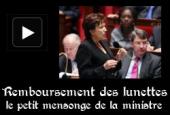 Bachelot, Assembl&eacute;e nationale