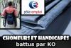 Ch&ocirc;meurs et Handicap&eacute;s