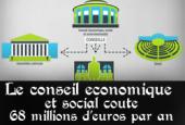 Conseil &eacute;conomique, social et environnemental