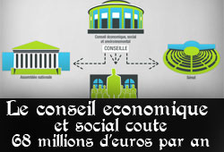 Conseil économique, social et environnemental
