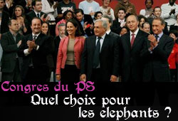 Elephants socialistes