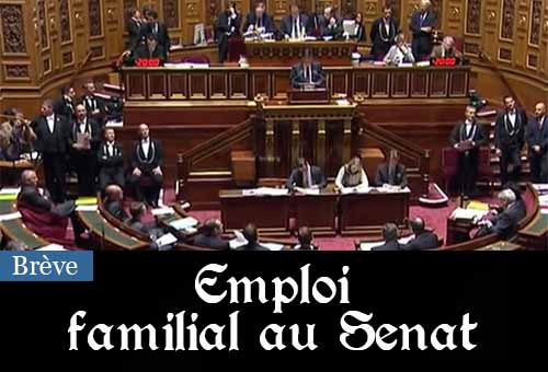 Emploi familial au Sénat