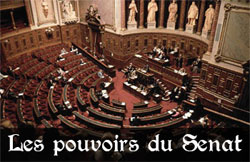 Senat