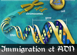 Immigration et ADN