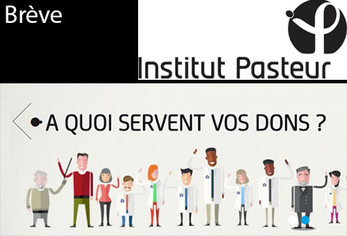 Institut Pasteur