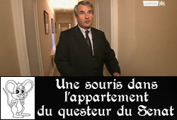 La souris du questeur