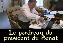 Le perdreau du Sénat