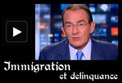 Pernaut, immigration et délinquance