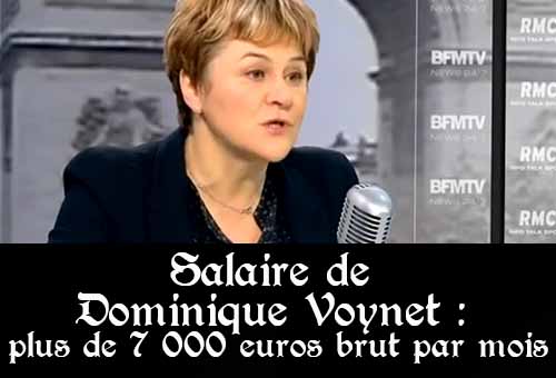 Salaire de Dominique Voynet