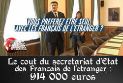 Secrétariat d'Etat des Français de l'étranger