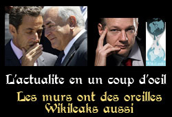 Sarkozy DSK Wikileaks