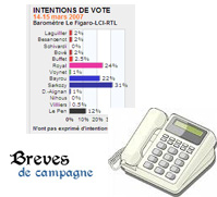 Les sondages par téléphone