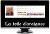 La toile d'araign&eacute;e de DSK
