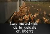 Quand Sarkozy s'agite sur le halal, il supprime le contrôle sanitaire par l'Etat pour la volaille