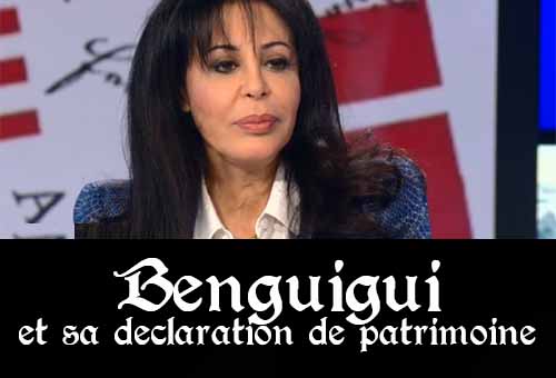 Yamina Benguigui patrimoine